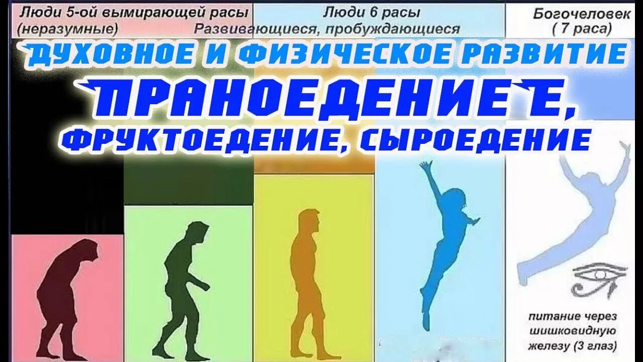 Праноедение что это такое. Праноеды солнцееды. Люди праноеды. Автономия праноедение. Праноедение картинки.