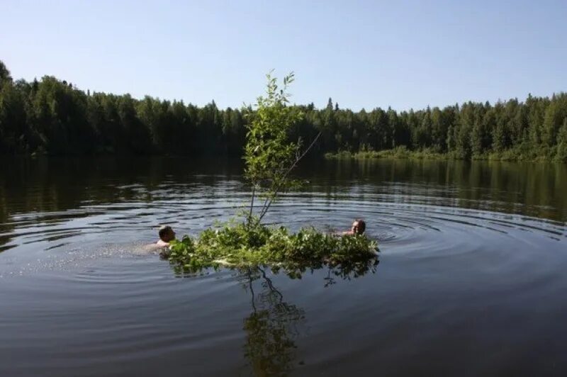 Озеро шайтан кировской. Озеро шайтан Кировской области. Озеро шайтан Уржумский район. Озеро шайтан Уржумский район Кировская область. Озеро шайтан плавающие острова.