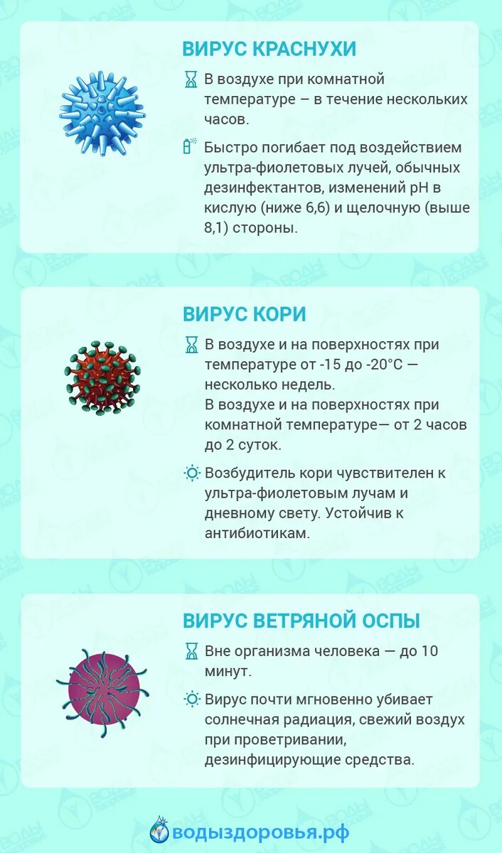 Сколько живет вирус на поверхности. Срок жизни вирусов вне организма. Жизнь с вирусами. Продолжительность жизни вирусов. Сколько живут вирусы вне организма.