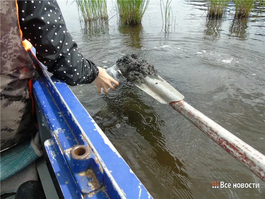 Донные отложения в водоемах. Загрязненный Черноисточинский пруд. Черноисточинское водохранилище Нижний Тагил. Очистка Черноисточинского водохранилища. Затянулся пруд