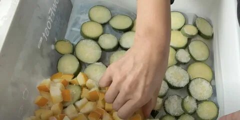 Можно морозить кабачок на зиму
