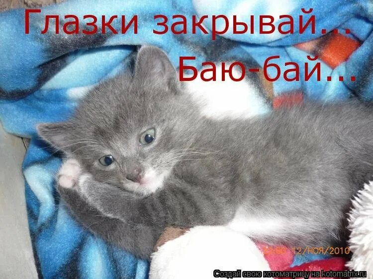 Gute nacht mein schatz картинки. Спокойной ночи, медвежонок!. Баюшки спокойной ночи. Иллюстрация к колыбельной. Спокойной ночи котики.