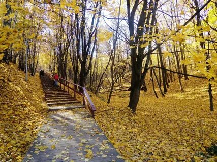 Воробьевы горы москва осенью