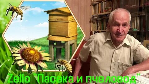 Пчеловодство август 2024 г в ютубе