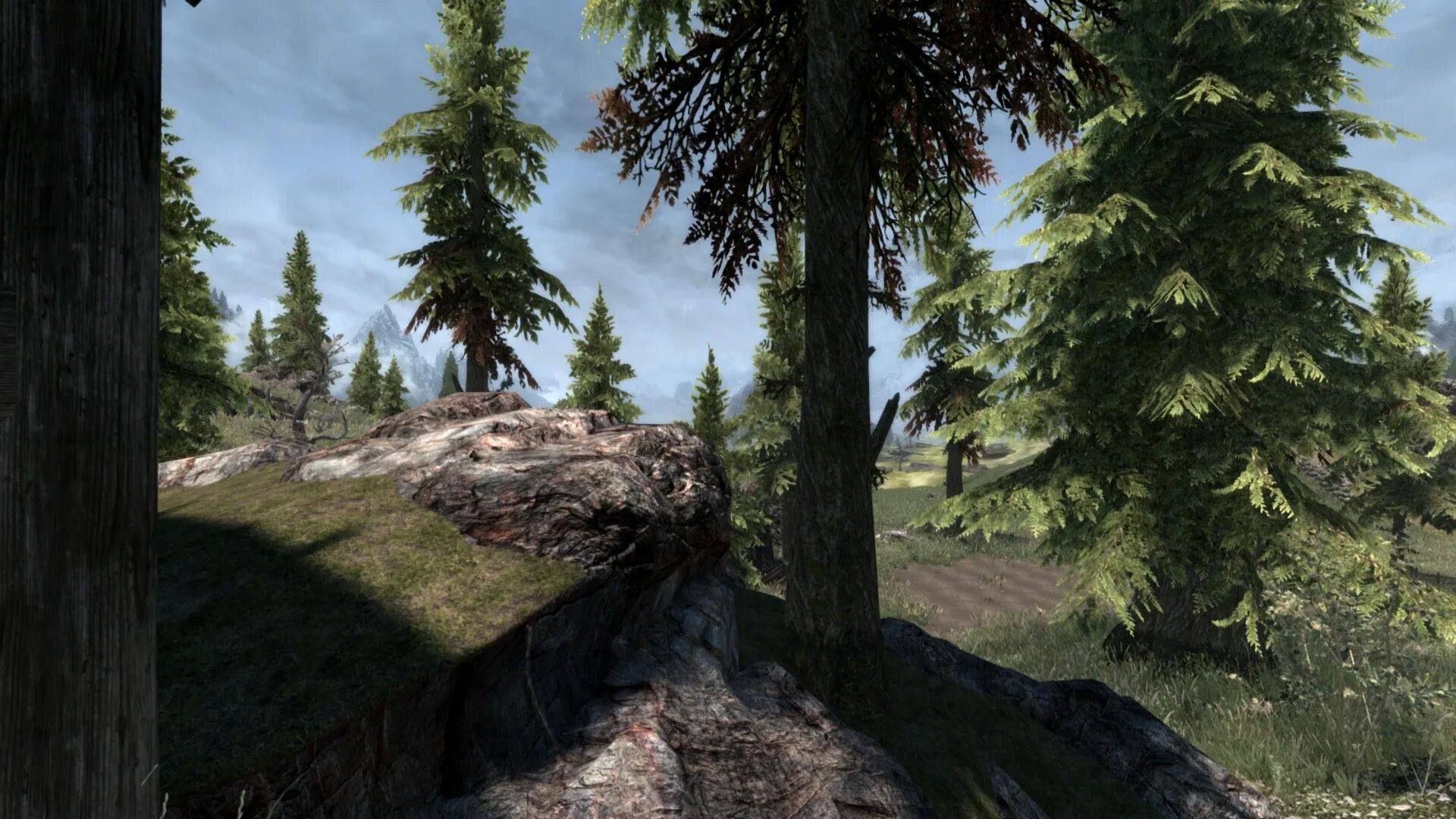 Много деревьев скайрим. Мод overhaul. Overhaul игра. Дерево из Скайрима. Trees skyrim