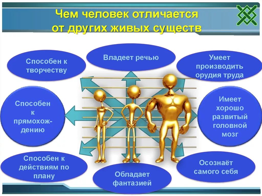 Загадка человека Обществознание. Человек это в обществознании. Обществознание 5 класс тема человек. Презентация по обществознанию.