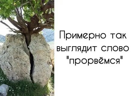 Прорвемся ответ
