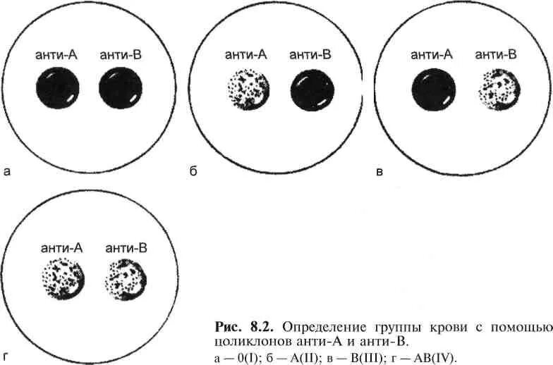 Определение группы крови и резус цоликлонами