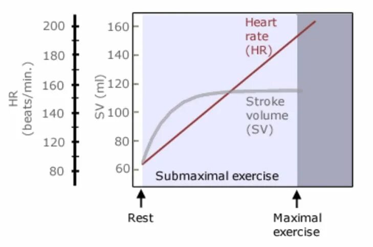 Limit output. Stroke Volume normal. Stroke_Volume формула. Cardiac stroke Volume. Cardiac output (minute Volume) = stroke Volume x Heart rate.