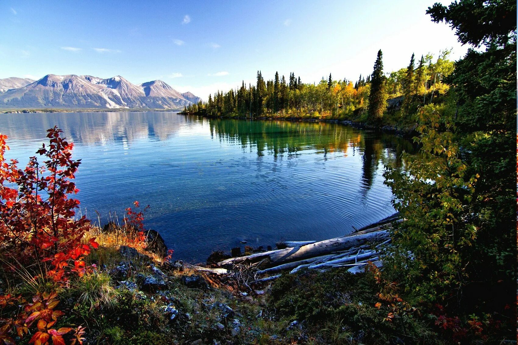 Большой остров канады. Британская Колумбия British Columbia Канада. Озеро оушен Вайоминг. Большое Невольничье озеро Канада. Озеро Маккей Канада.