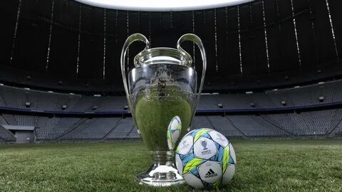Soccer league champion