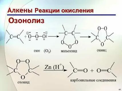 Озонолиз