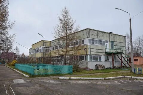 Зеленец коми