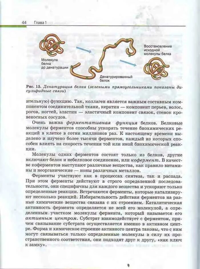 Биология 10-11 класс учебник. Учебник по биологии 10-11 класс Каменский Криксунов. Биология 10-11 класс учебник Каменский Криксунов Пасечник читать. Пасечник,Каменский биология 10 класс.