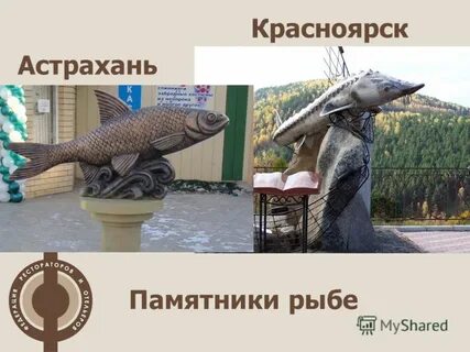 Астраханская красноярск
