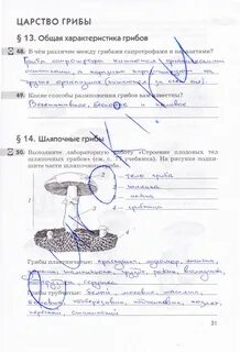 Биология 5 класс страница 14 номер 5