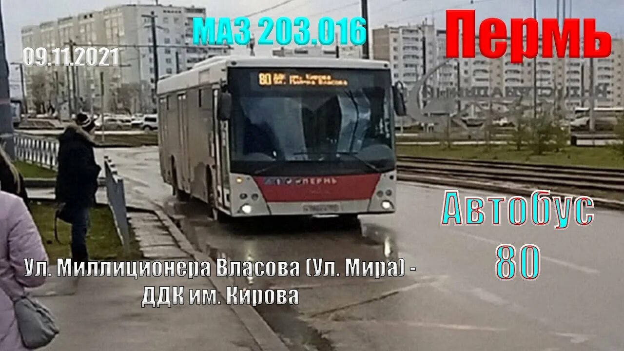 Автобус пермь майкор. 80 Автобус Пермь. Маршрутка 80. Автобус 80 Санкт-Петербург. 60 Автобус Пермь.