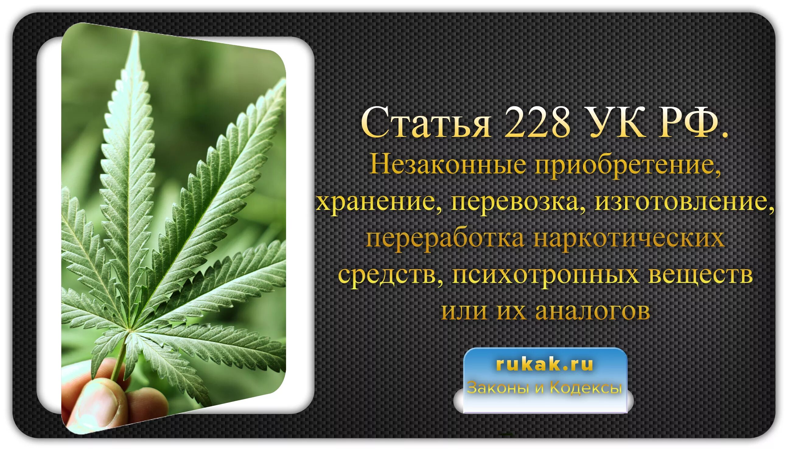 Статья 228. Статья 228 УК РФ. 228 Статья уголовного. Уголовный кодекс РФ 228. 228 ук рф ответственность