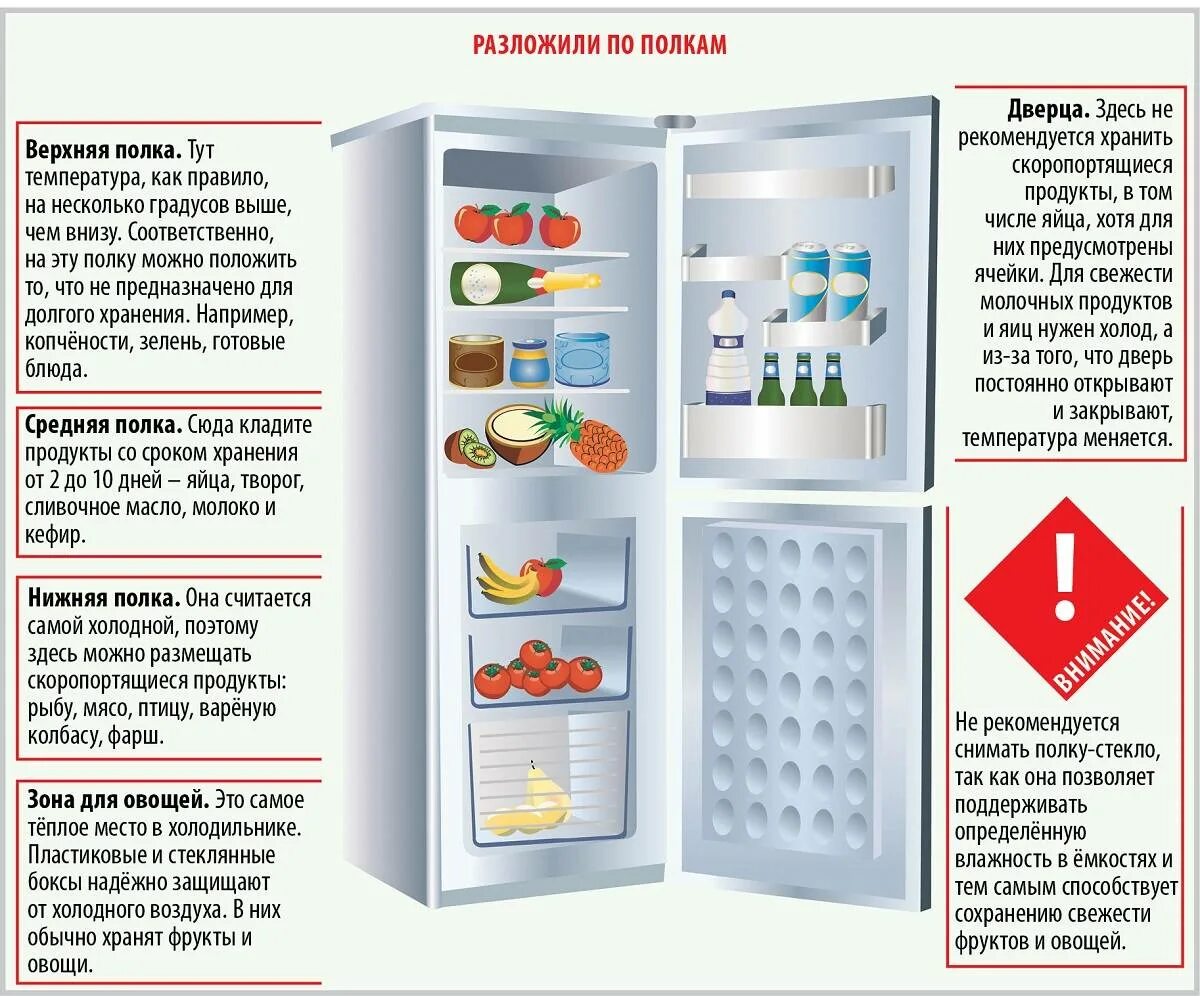 Размещение продуктов в холодильнике. Правила хранения продуктов в холодильнике. Хранение продуктов в холодильнике по полкам. Расположение продуктов на полках холодильника. Товарное соседство в холодильнике