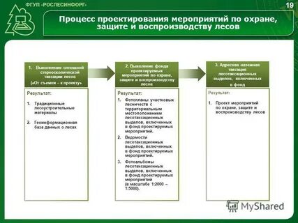 Защите и воспроизводству лесов