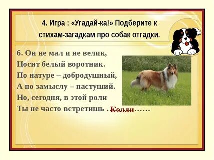 Загадка про собаку для дошкольников