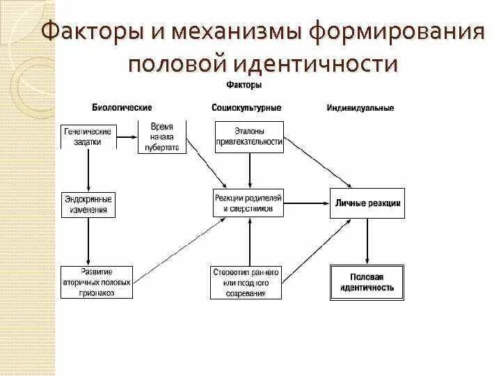 Нормативные факторы развития. Механизмы формирования половой идентичности.. Факторы формирования гендерной идентичности. Факторы и механизмы формирования половой идентичности. Механизмы формирования гендерной идентичности.