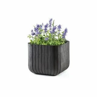 Plant cube