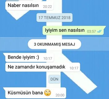 Sen nasilsin