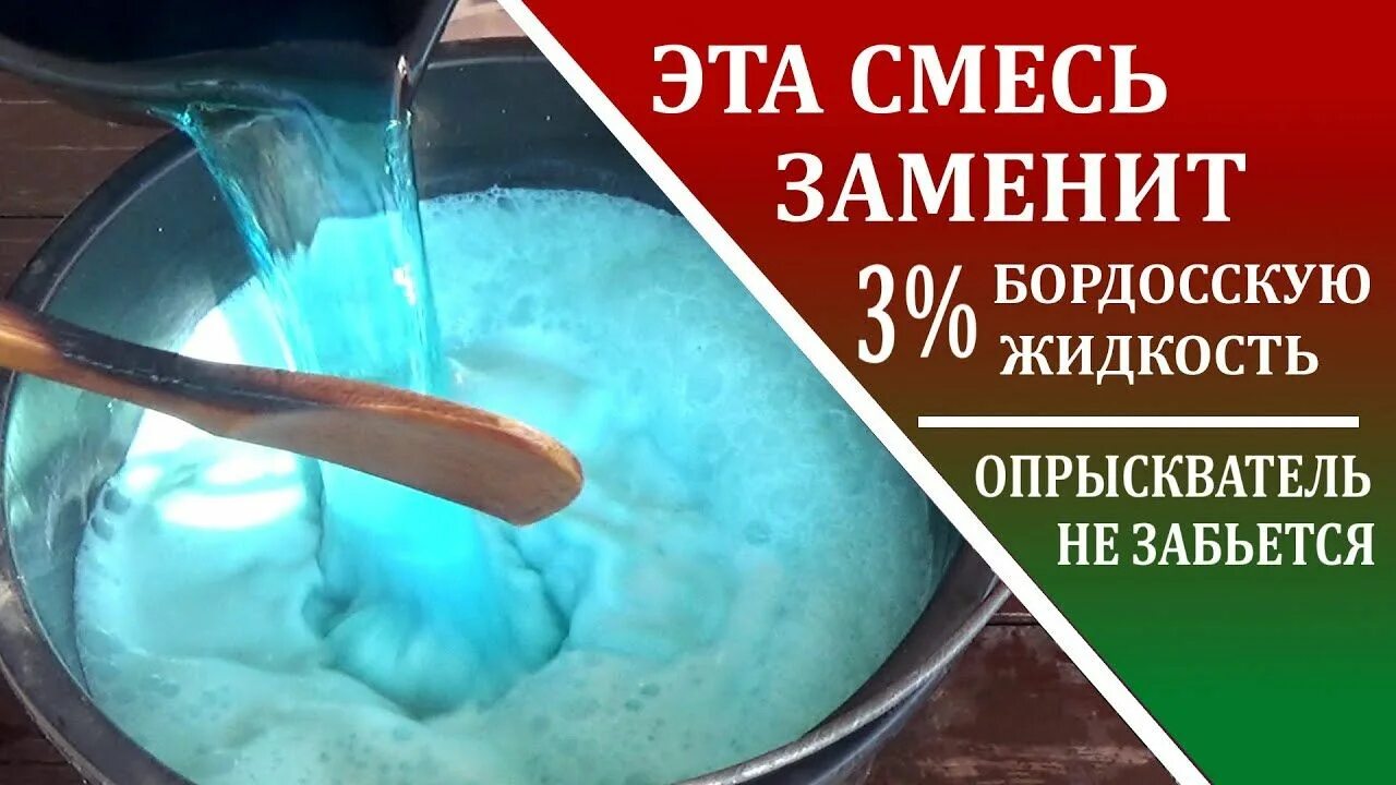 Бургундская жидкость. Обработка огурцов бургундской жидкостью. Бургундская смесь. Бэби салат бургундия смесь. Бургундская смесь.