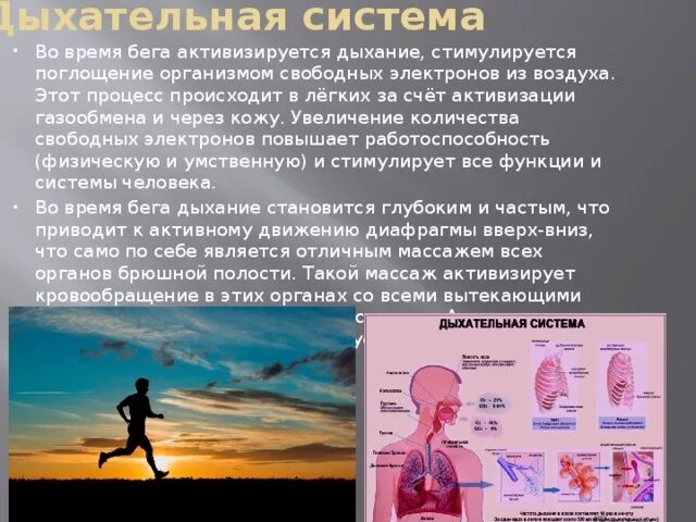 Влияние на дыхательную систему. Влияние бега на дыхательную систему человека. Дыхательная система человека влияние. Влияние спорта на дыхательную систему.