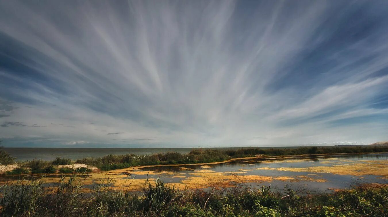 как определить направление ветра. ветер фоторедактор. южный ветер погода.