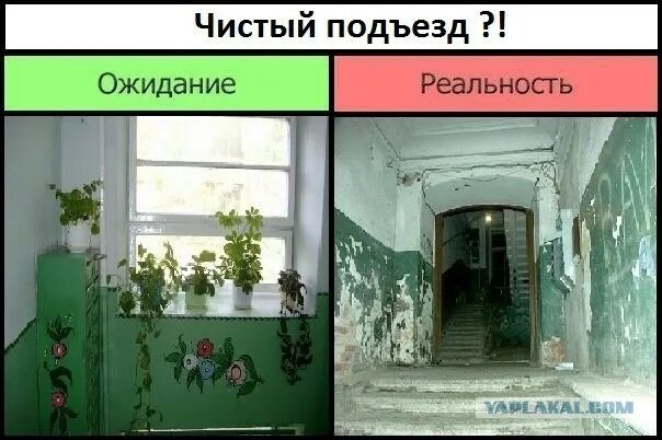 Жестокая реальность. Ожидание и реальность подъезд. консьерж ожидание реальность. егэ ожидание и реальность.