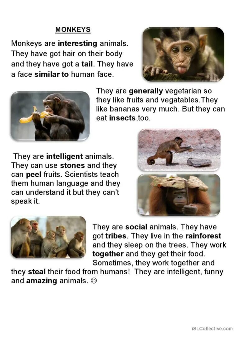 Как переводится с английского chimp