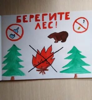 Берегите лес 2 класс