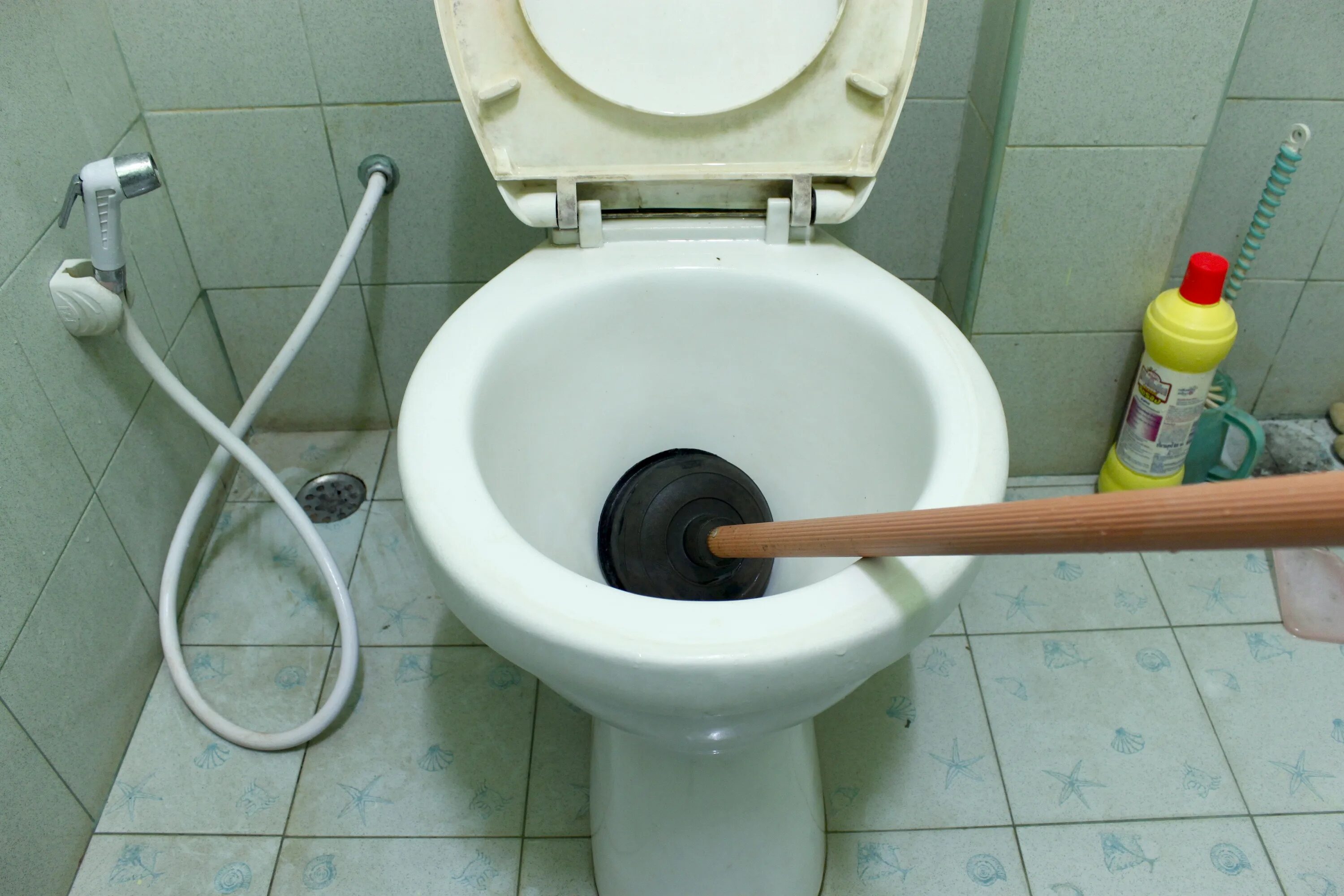 Можно смывать туалетную бумагу в унитаз. Вантуз для унитаза. Унитаз для полных людей. Название унитазов. Туалетная спираль для прочистки унитаза.