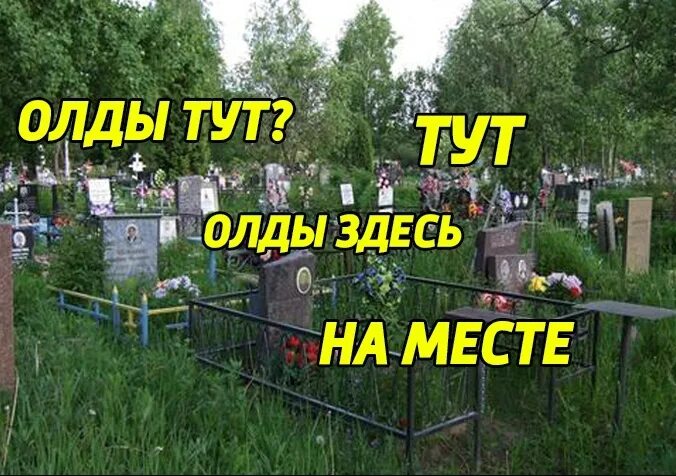 Что значит олд. Олды тут. олды здесь. олды мемы. олды тут мем.
