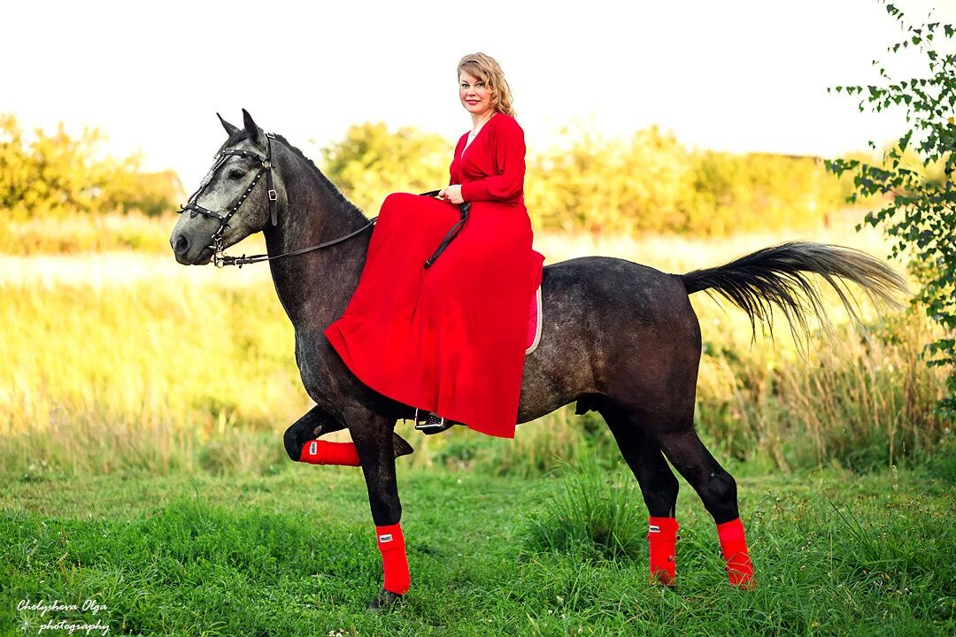 беременная лошадь с огромным животом. девушка забеременела от лошади. беременная с большим животом в шляпе. лошадь и беременная женщина. можно ли беременным на лошадях.