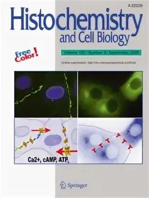 J cell biol. Histochemistry and cell biology. histochemistry and cytochemistry photos. hujayra biologiyasi. histochemistry and cytochemistry photos of organ of corti.