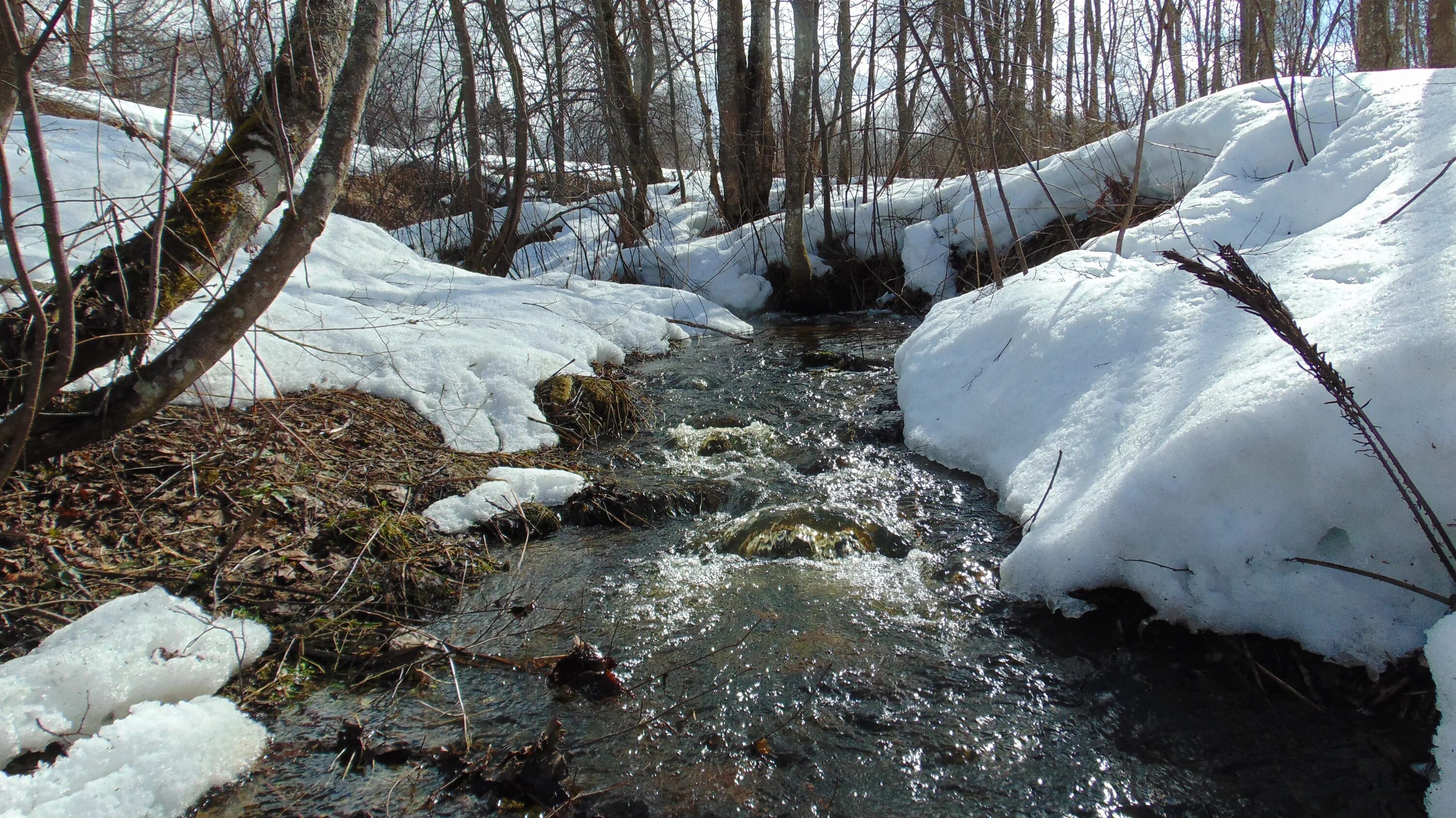 Рыхлый снег. Тает т т. Весенние ручьи. Тает т т. Тает снег весной.
