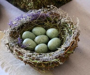 Сделать гнездо для яиц своими руками