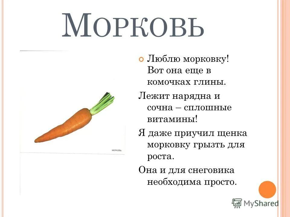 Стих про морковь. Стихотворение про морковь для детей. Стих про морковь короткий. Стих про морковку для детей.