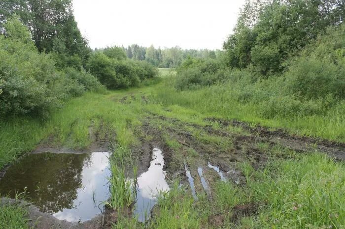 Мы перебрались через реку по зыбкому. Река Поведь. Кувшиново пень мост. Нурмекунде Фировский район. Река Тоймина Ярославская область Нижний Починок.