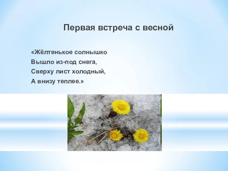 Выйди выйди солнышко мы посеем