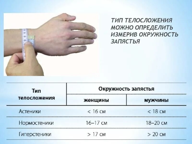 Обхват запястья у мужчин Тип телосложения. Тип телосложения по обхвату запястья у женщин. Как определить Тип тела по запястью. Определение типа телосложения по запястью.