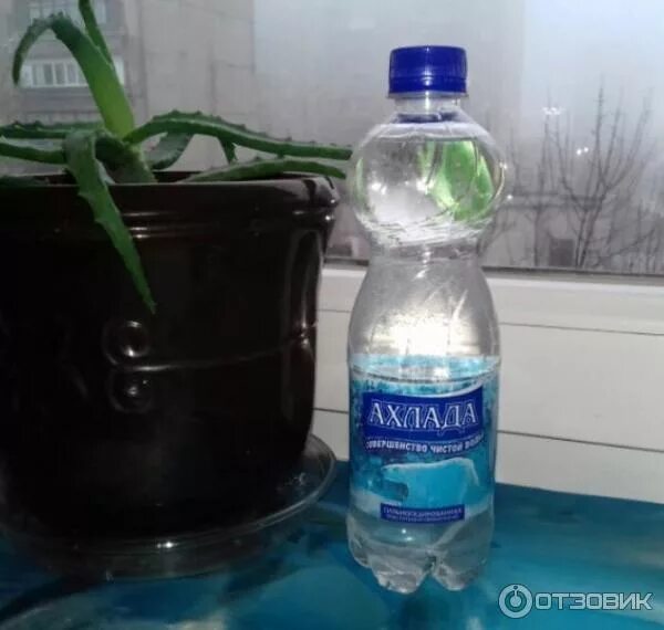 Воздух еще не ставший знойным приятно освежает
