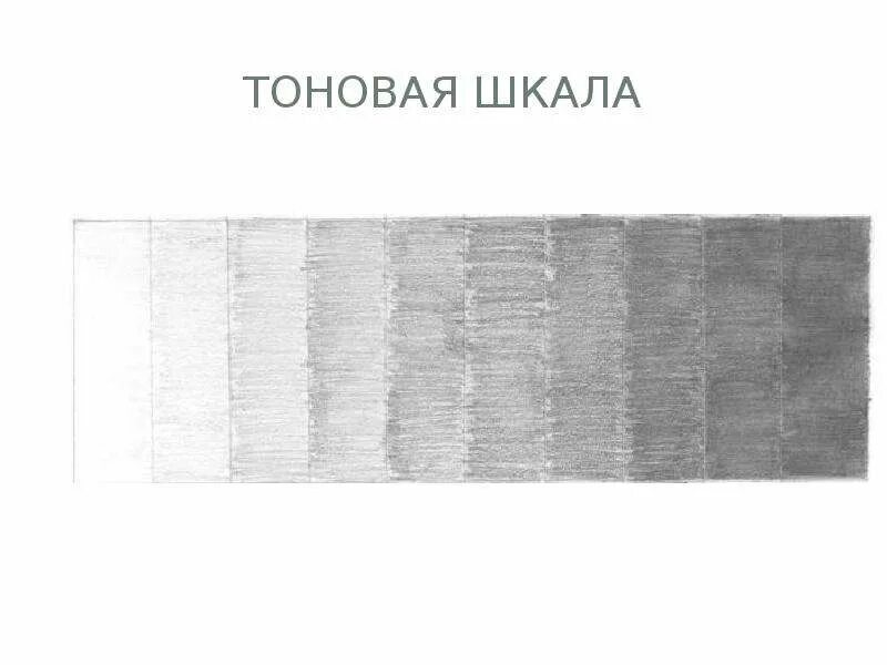 Тональная шкала изо 6 класс. Тональная шкала изо 6 класс. Тональная шкала изо 6 класс. Шкала тона в рисунке. Штриховой рисунок.