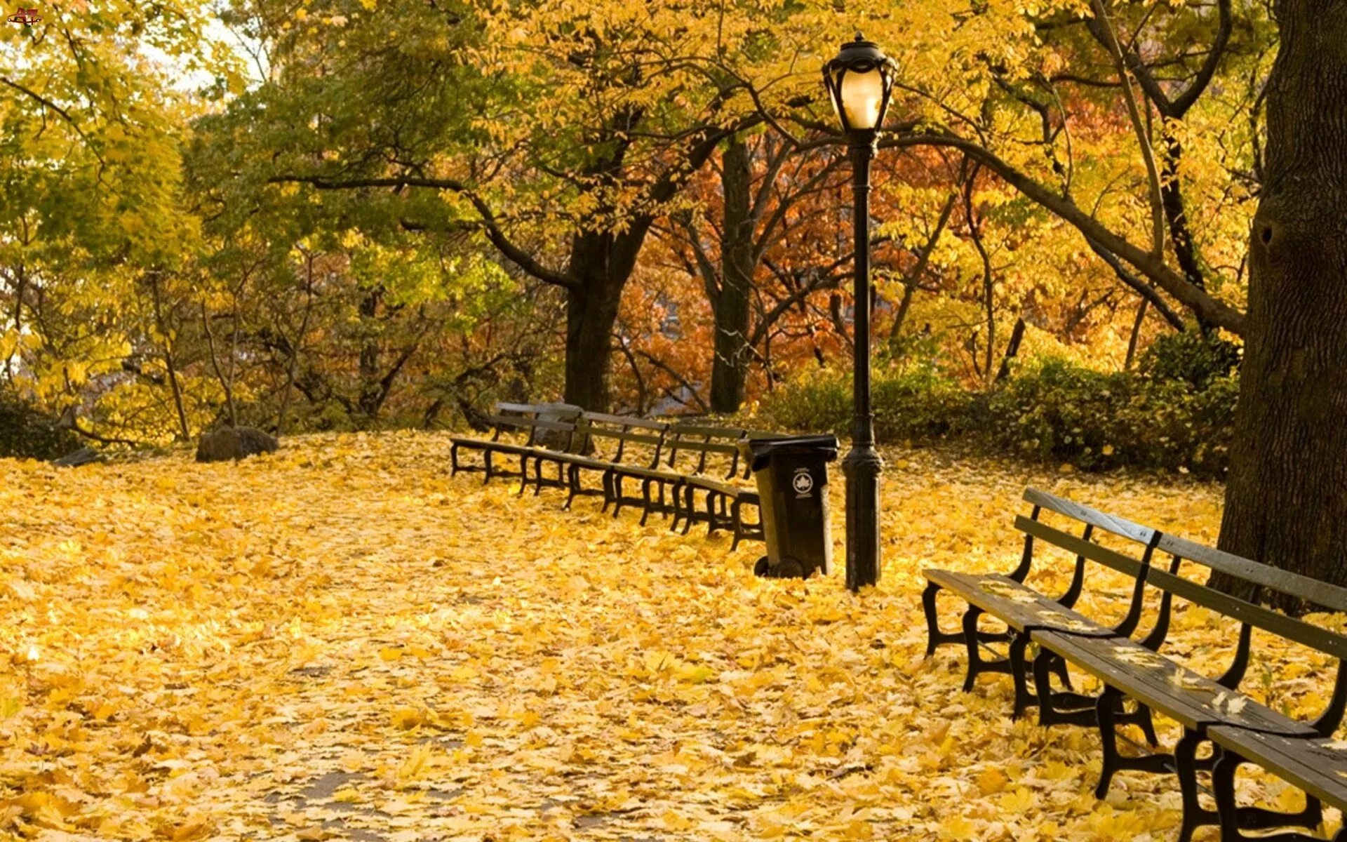 Осень без людей. Осенний парк. Осень в парке. Парк осенью. Осенний сквер.