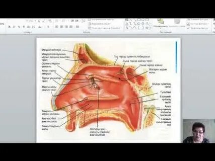 Қырынған мүшесінің фотосы