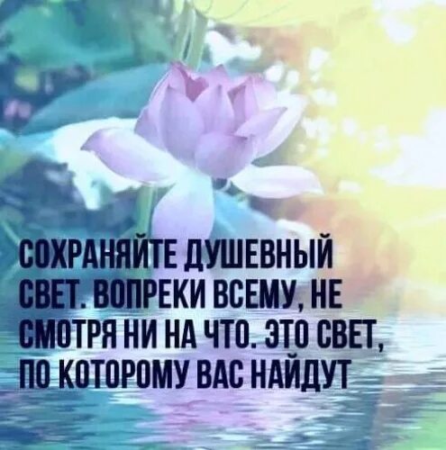 Несмотря на все его старания он. Сохраняйте душевный свет вопреки всему. сохраняйте душевный свет вопреки всему несмотря. душевный свет цитаты. сохраняйте душевный свет вопреки всему несмотря ни на что картинки.
