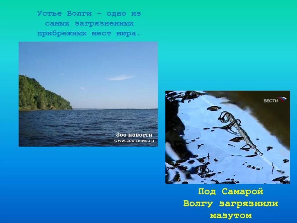 Окружающее грозить. Устье вол. Устье Волги. Устье реки Волга. Устья реки Волга.